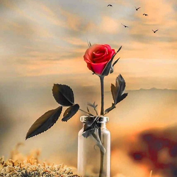 دانلود آهنگ عطر امیر تتلو رامین تجنگی هایده از فارس ترانه